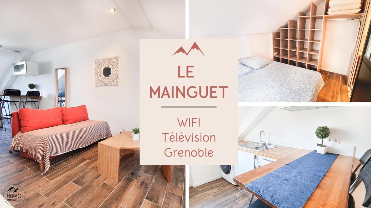 Le Mainguet - Appartement Cosy - Гренобъл Екстериор снимка